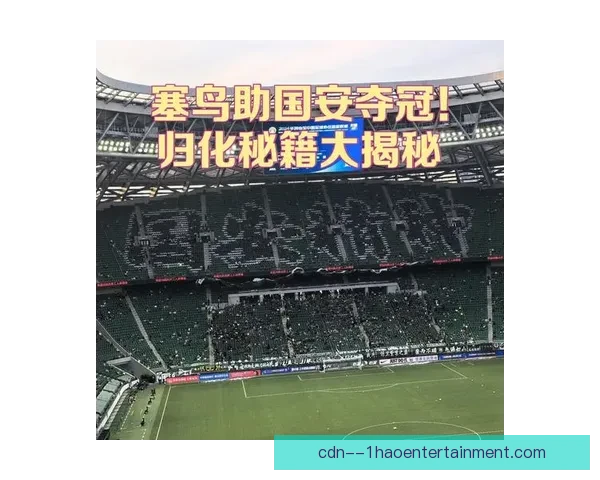 中国男足归化新进展 塞鸟球员入籍流程正式进入公示阶段