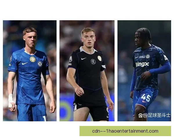 切尔西中场拉维亚大腿肌肉反复受伤 本赛季仅上场32分钟宣布报销